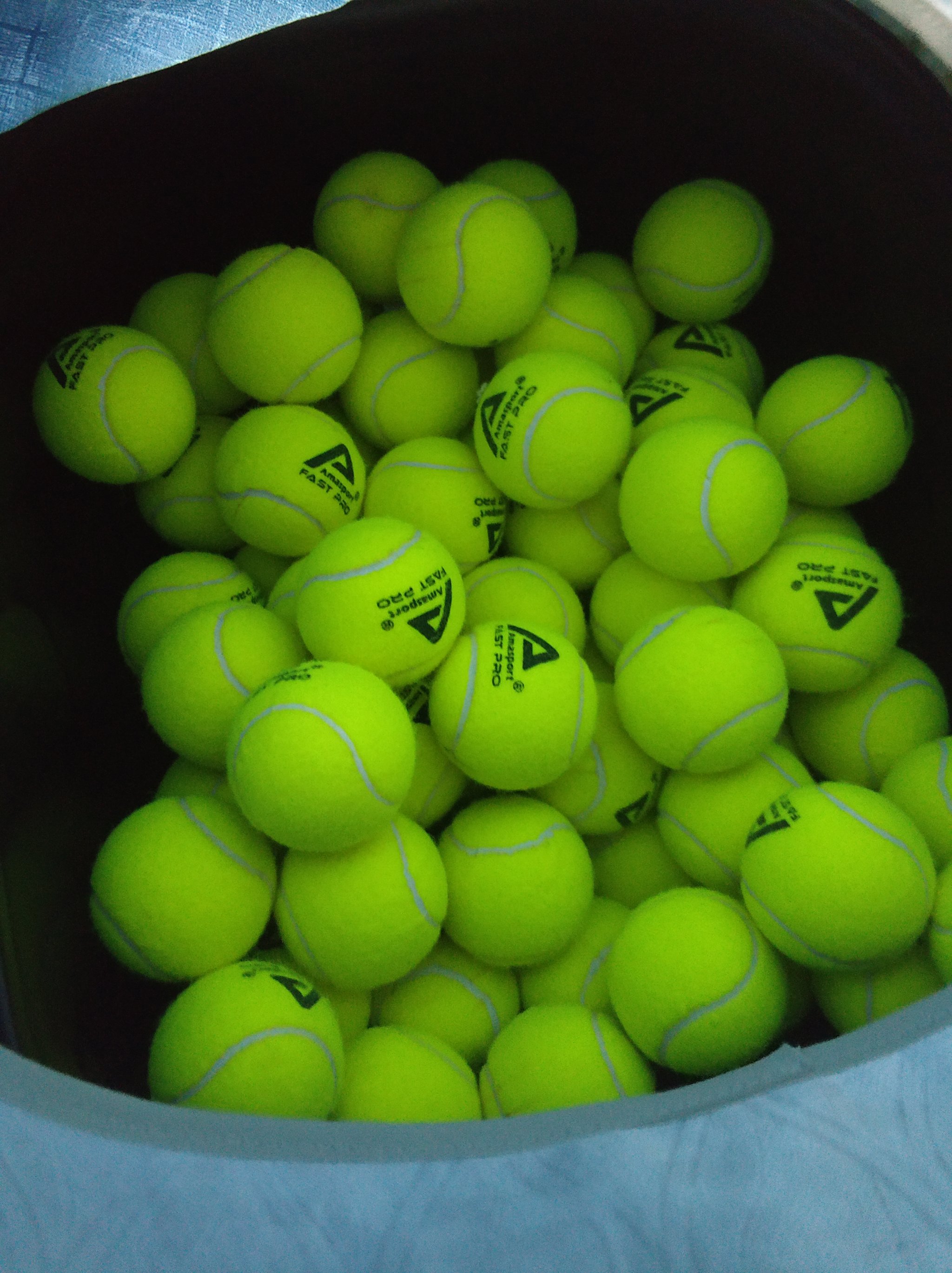 持人之一 持人之一